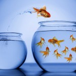 Networking for job opportunities