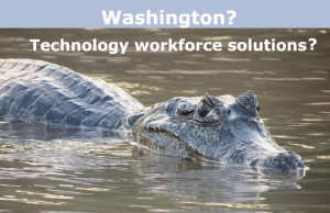 Washington Technology Workforce Solutions?