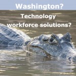 Washington Technology Workforce Solutions?