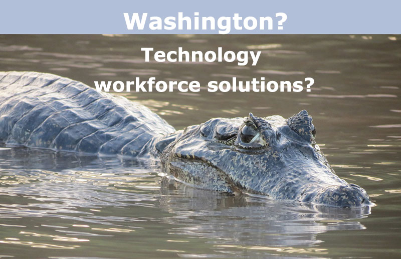 Washington Technology Workforce Solutions?